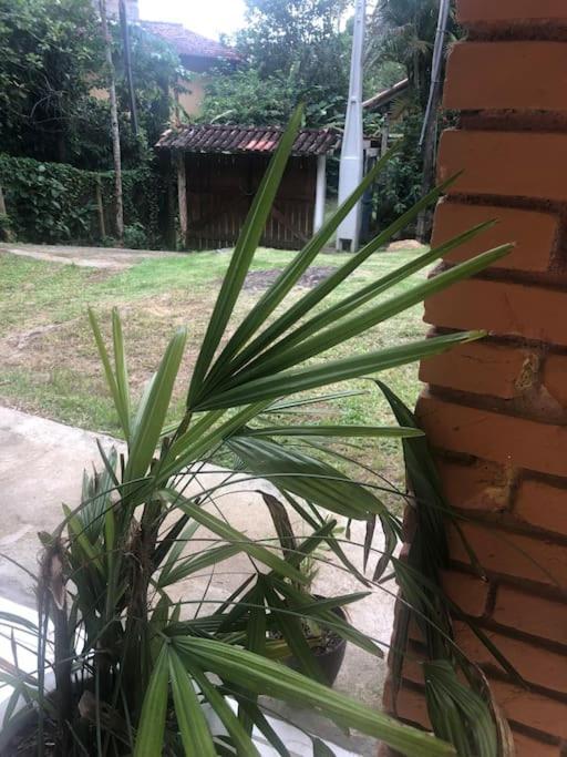 Casa Amarela Prumirim Ubatuba Eksteriør billede
