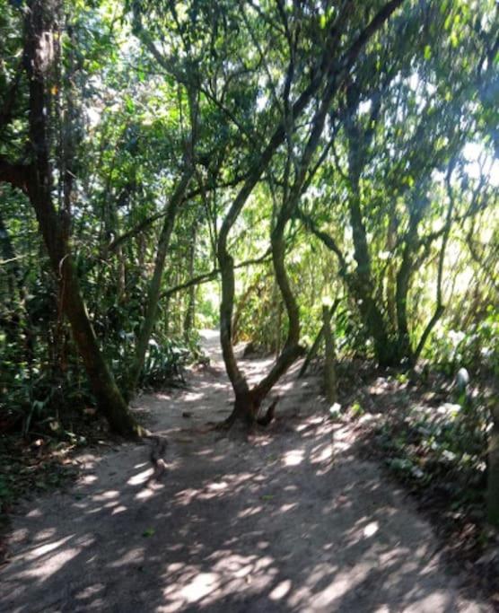 Casa Amarela Prumirim Ubatuba Eksteriør billede
